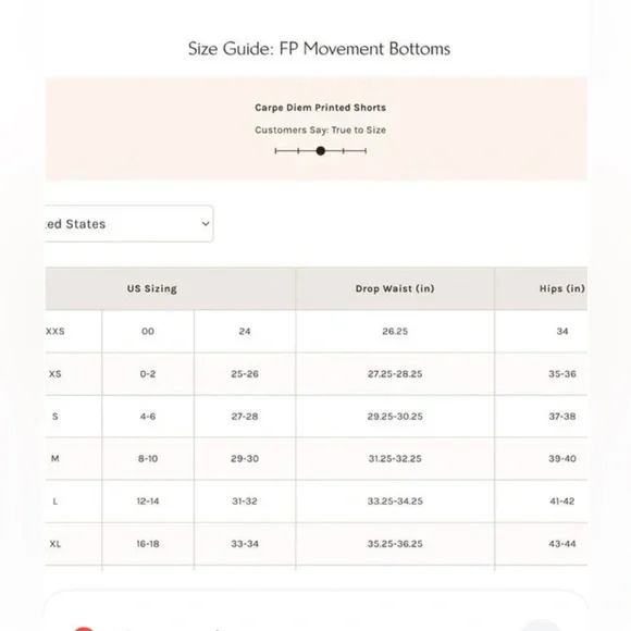 Free People Carpe Diem Printed Shorts in Sporty Stripe Combo Skyline Retail $50 - Picture 6 of 9